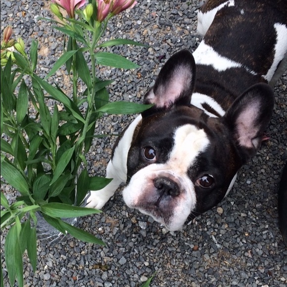 Meet your Posher, Shelly - Picture 6 of 6